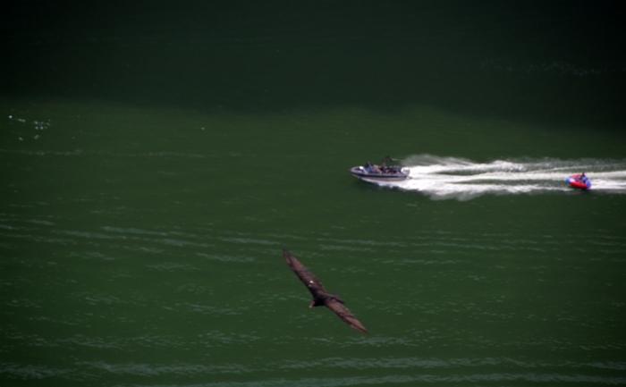 motor boats in the lake
